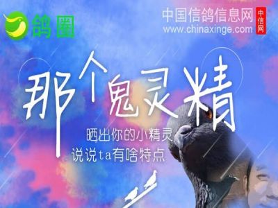 鸽圈新活动《那个鬼精灵》等你来晒！