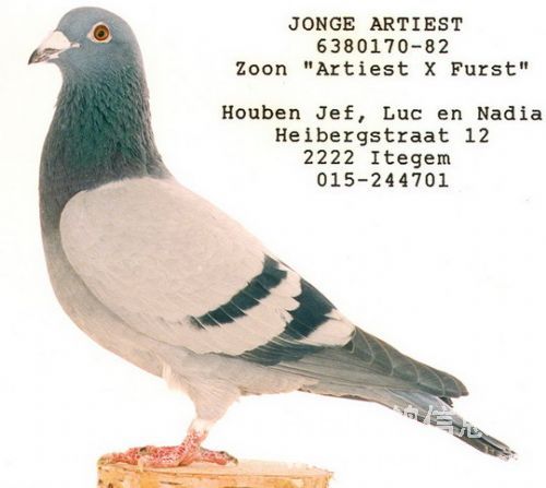 ÿ��һ�룺�����ָ���������������ҡ�