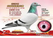 �ҵķ���Ѫϵ��ɰ����· �������֣�