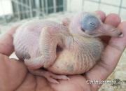 ����˲�䣺������2020��1�¾���ͼƬ 