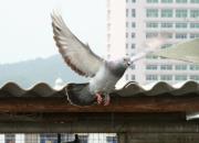 ���еĹ��ȣ�