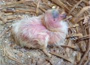 ����и������ ��ͼΪ֤