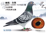 ��̨����ţ��19���˳������ܷ�