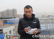 ������磺����ھ���Ӯ�Ҵ޻Ծ�������ͼ��