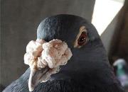 Сլ�¼�֮��ĵ��