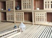 ���ָ��᣺�������� �����Լ�