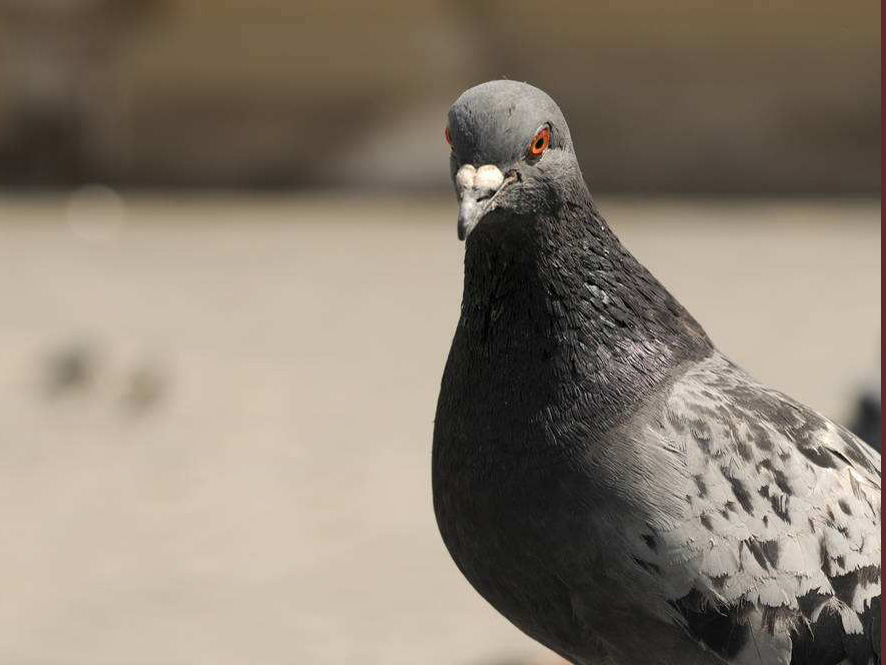 ������¾��������޹�����������