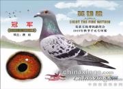 ���ڴ����� �����Ŷ��ô�