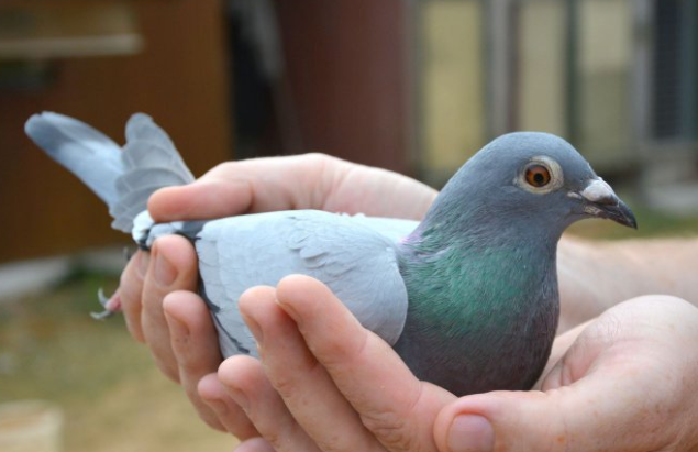 ǧ���׵�һ������ ���´��������ɼ���