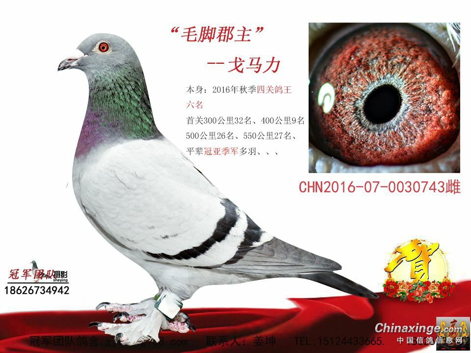 �Ÿ���ᴿ��׳