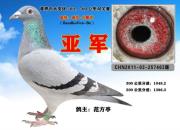 ����ͤ�������λ���͵ĸ��ż��