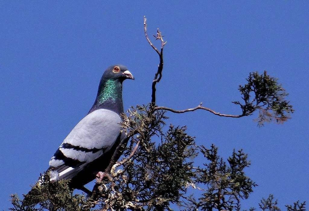 �����ڼ������ ׷���ҵĶ�������