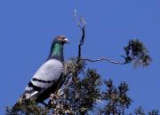 �����ڼ������ ׷���ҵĶ�������