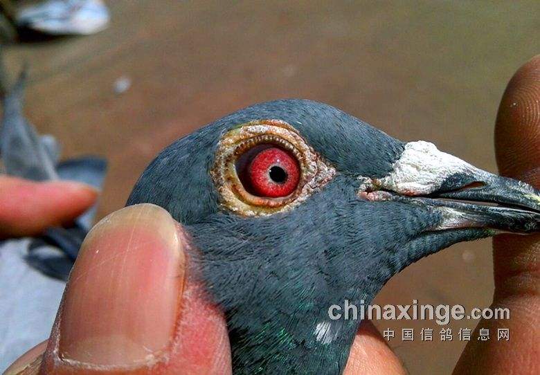 ��������һ���ĵ���Ҳ�кܴ������