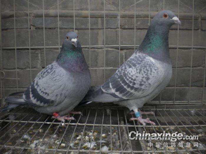 ɱ����ƨ��ͱ������Ҳ̸�ָ봺�����ʱ��