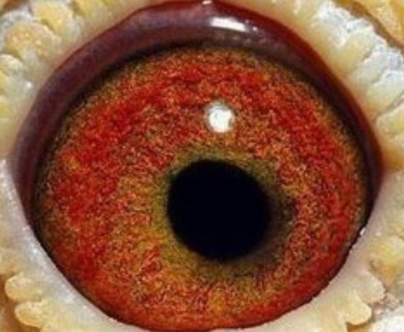 ������ƽ���Ը�������