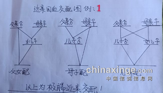 ͼ�ǣ����׻�Ѫ������������������֮�ţ�