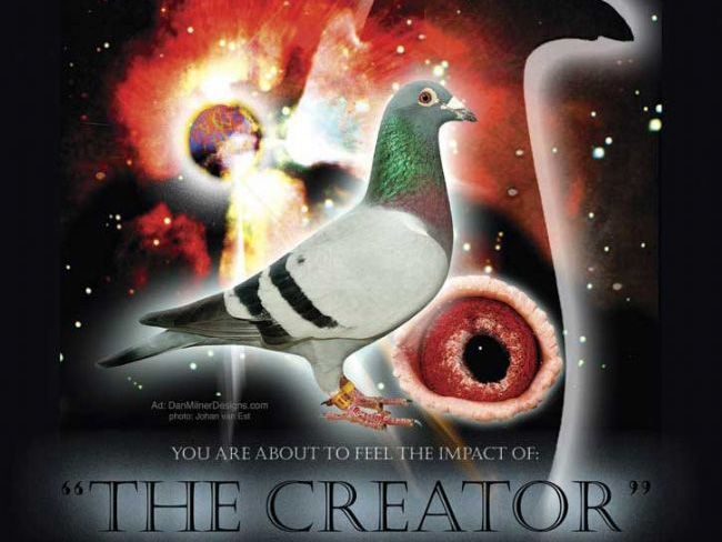 ÿ��һ�룺����˹��������ھ����塰�����ߡ�