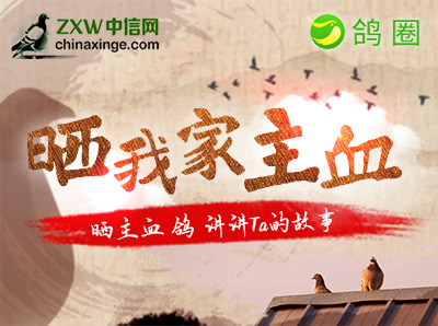 鸽圈《晒我家主血》活动来咯！讲讲Ta的故事