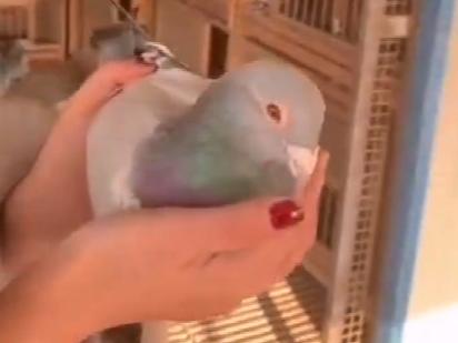 �������ͣ���ΰ���еİ��򽫾�ֱ��