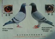 ѧ����Щ������� �ھ�����Զ��