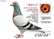ÿ��һ�룺��ɰ�����������ġ���������