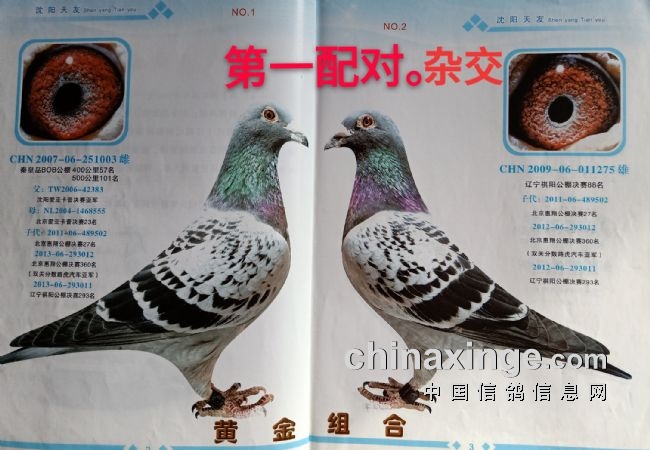 �������Ѹ���ʮ��������ͣ�