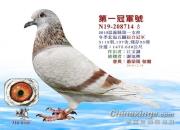 ������һ��̨�山������ۺϹھ�����