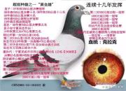 15�������ղɭ��ѫ�ָ롰�ƽ��ۡ�