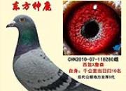 ������ղɭȫ���뷢�� �����Ŵ�һ���ഫ