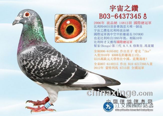 ÿ��һ�룺���������������֮�ꡱ