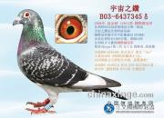 ÿ��һ�룺���������������֮�ꡱ