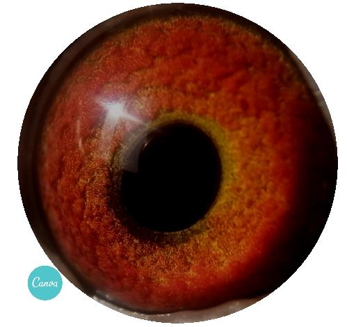 ����㽨�飺�⼸������զ��ԣ�