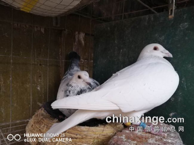 �������ҵĲ������ �����Ǹ�����