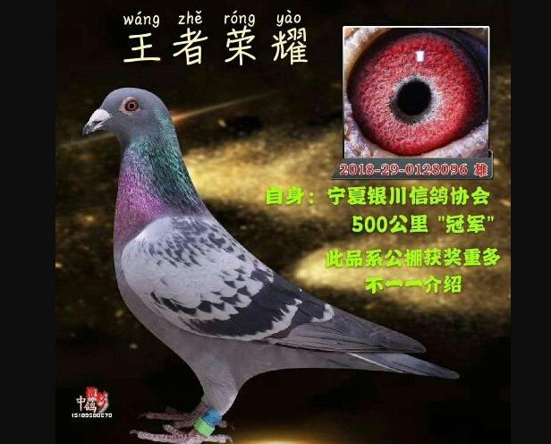 �����������������������������ָ�