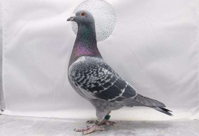 ���������躣�����ھ�����ɶ����