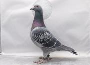 ���������躣�����ھ�����ɶ����