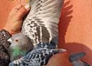 һ��ʮ������ ÿ�¸�Ϊ��������ɶ��