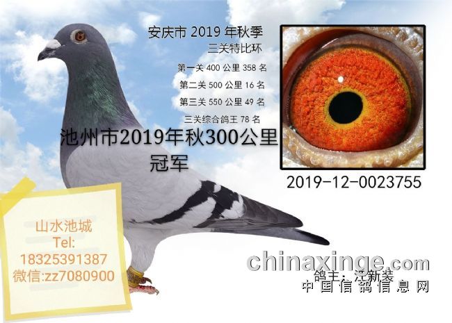 �����Ǽ��ͣ����������ܿ��ȥ��