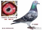 ɹ��Ѫ��ǿ��189��������񽱸�