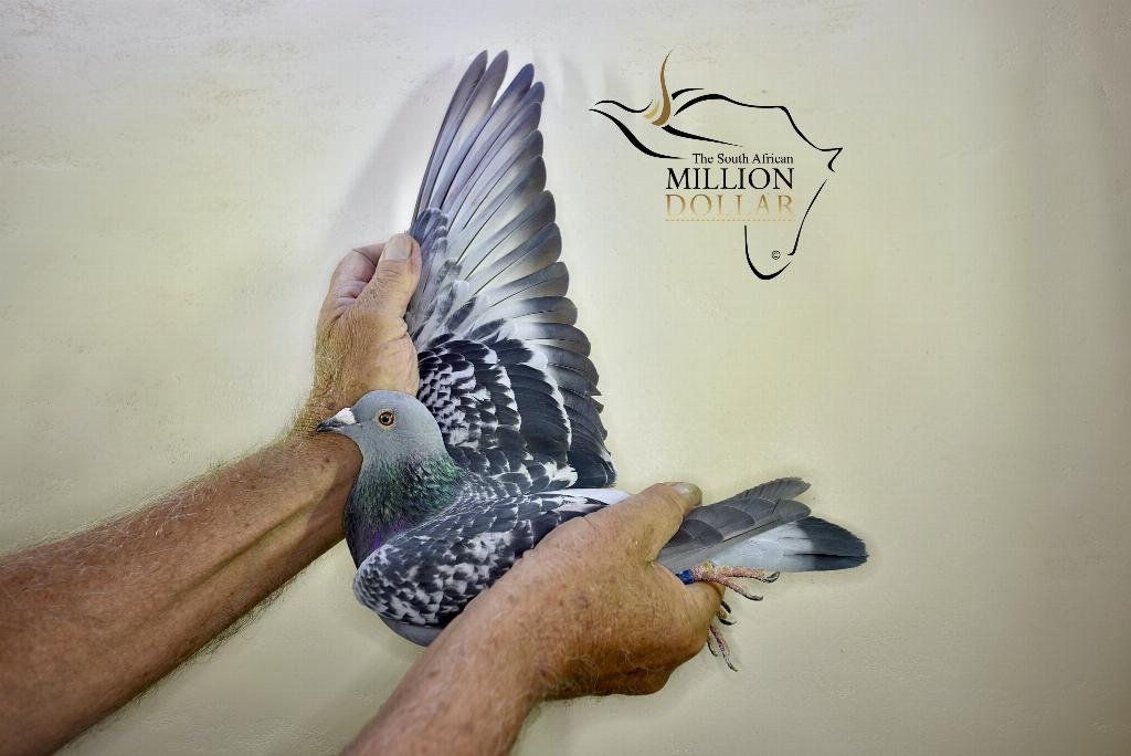 �¹���������� �Ϸǰ������������ǰʮ��