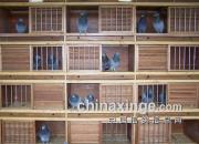 �������ͼ��