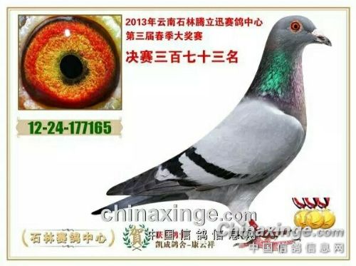 �ø뿿�ɲ���������������6�����165