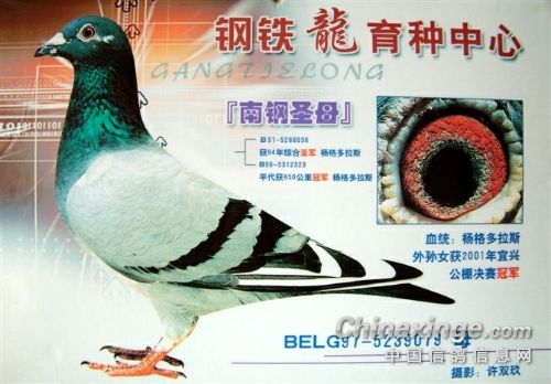 ��������ǰ�� �����˹������ʵ