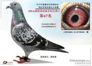 �����йھ��ĵҶ��ʹ�Ӫ