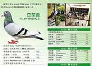 �������ͣ������˵�.����˹�Ļ����ָ�