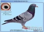 ����ղɭ���뵵��֮������