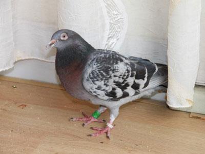 �ҵ�������£��Ӳ��뵽������