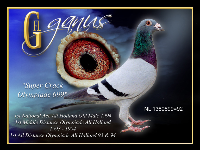 ÿ��һ�룺�������������ƥ��699(ͼ)