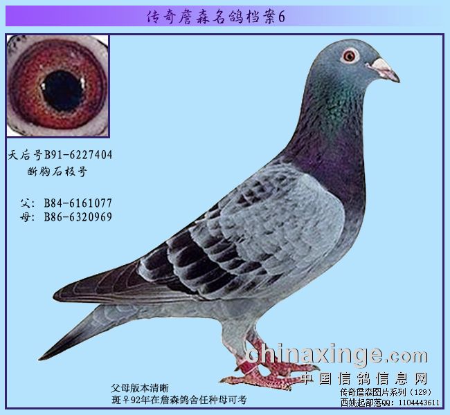 ����ղɭ���뵵��֮����